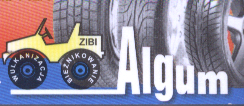 ALGUM ALINA TOMKIEWICZ - Logo